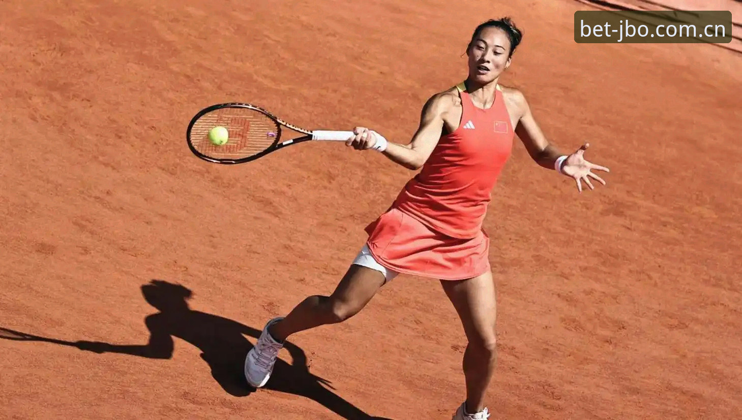 2026法网女单抽签深度解析：中国金花签运指南与保分压力全解读